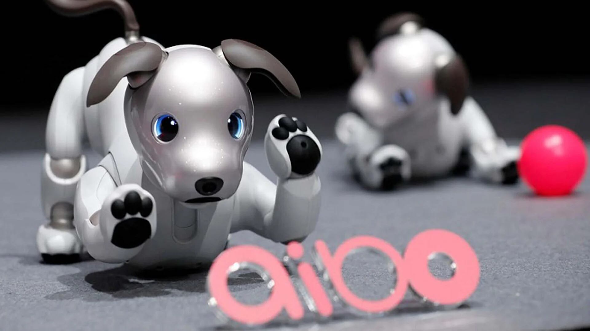 Su nombre es Aibo y se trata de una mascota robot especialmente diseñada para interactuar con los seres humanos, “casi” como un perro real.  (Sony)
