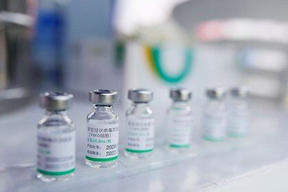 El Gobierno traerá un millón de dosis de la vacuna china y empezará a vacunar docentes a partir de la próxima semana (REUTERS/Sebastian Castaneda)