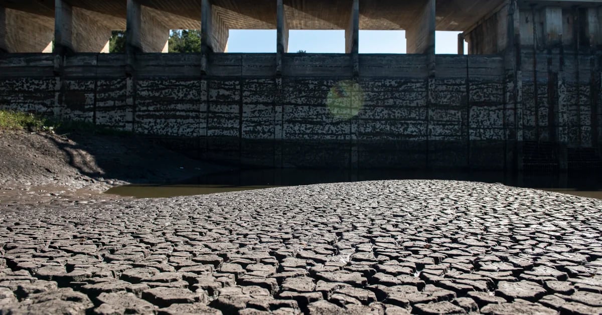 La sequía generó una crisis hídrica en Uruguay: sale agua salada de los grifos - Infobae