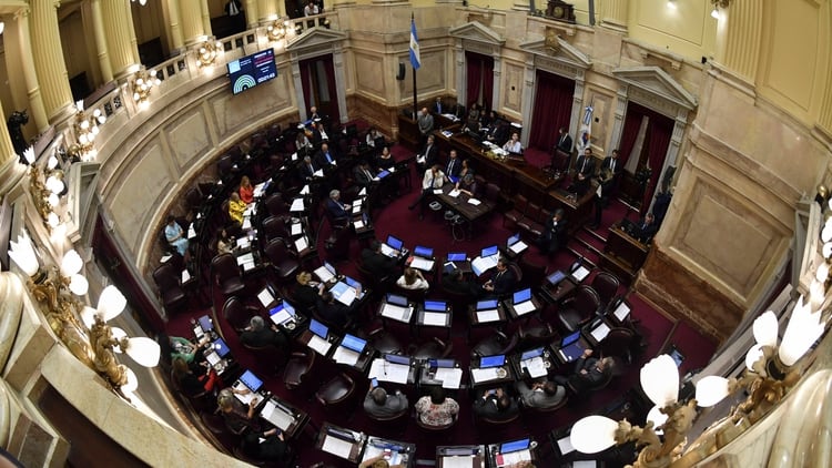 La Cámara de Senadores (Telam)