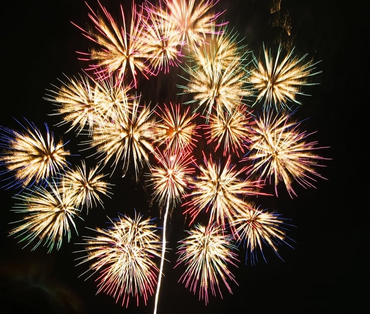 El momento más traumático para los perros es el momento en el que los fuegos artificiales iluminan el cielo.