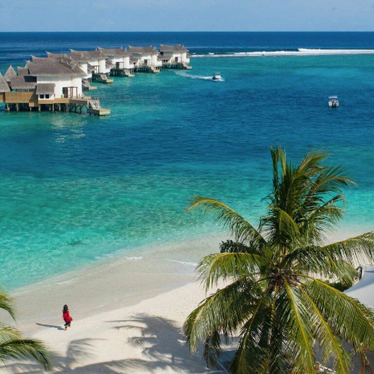 Hoteles sustentables: alojamientos alrededor del mundo que fusionan lujo y ecolog&iacute;a