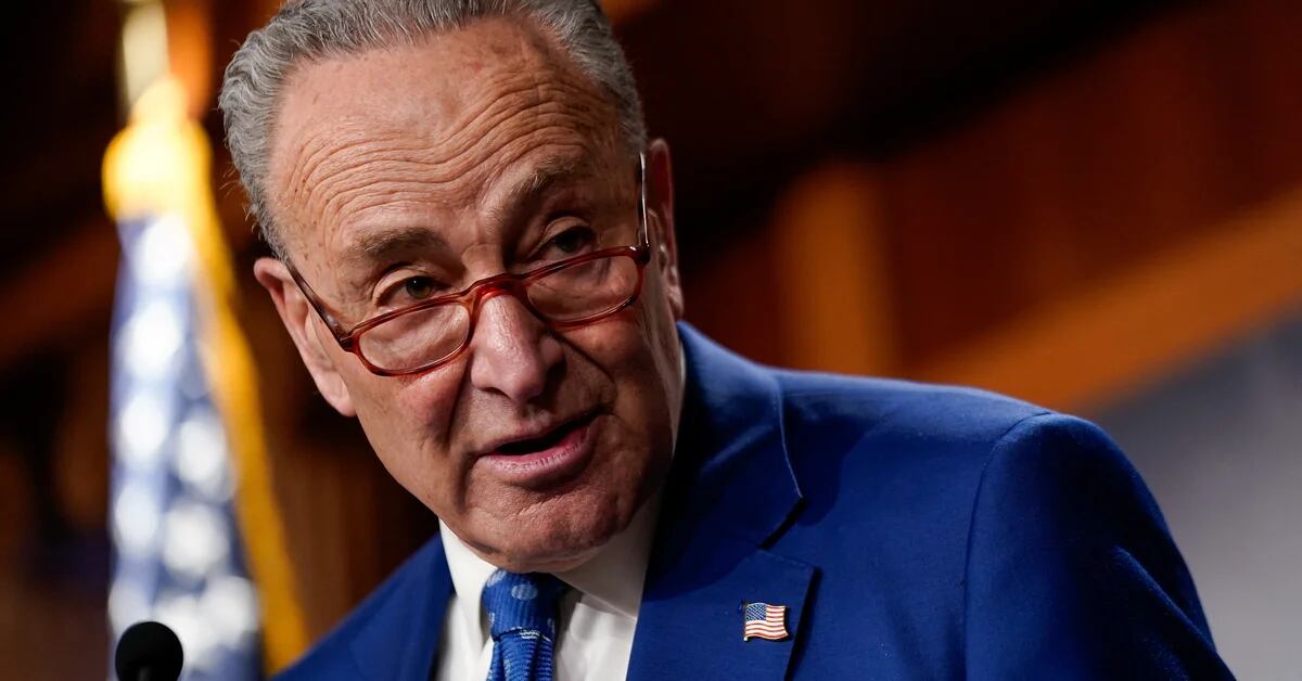 US Senate Democratic leader says TikTok ban ‘must be looked at’