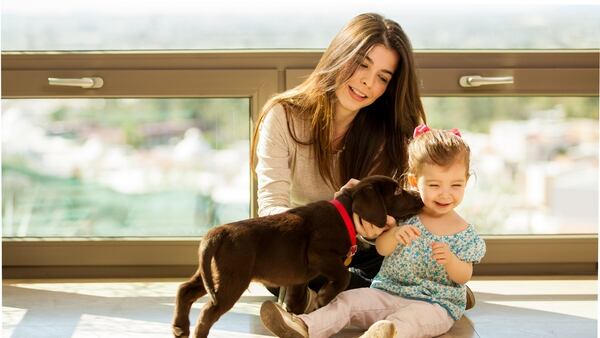 Es importante que el perro pueda asociar el contacto con su nuevo dueño con lo positivo (Getty Images)