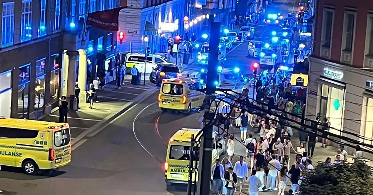 Bei einer Schießerei in einem schwulen Nachtclub in Oslo sind mindestens zwei Menschen getötet und mehrere weitere verletzt worden.