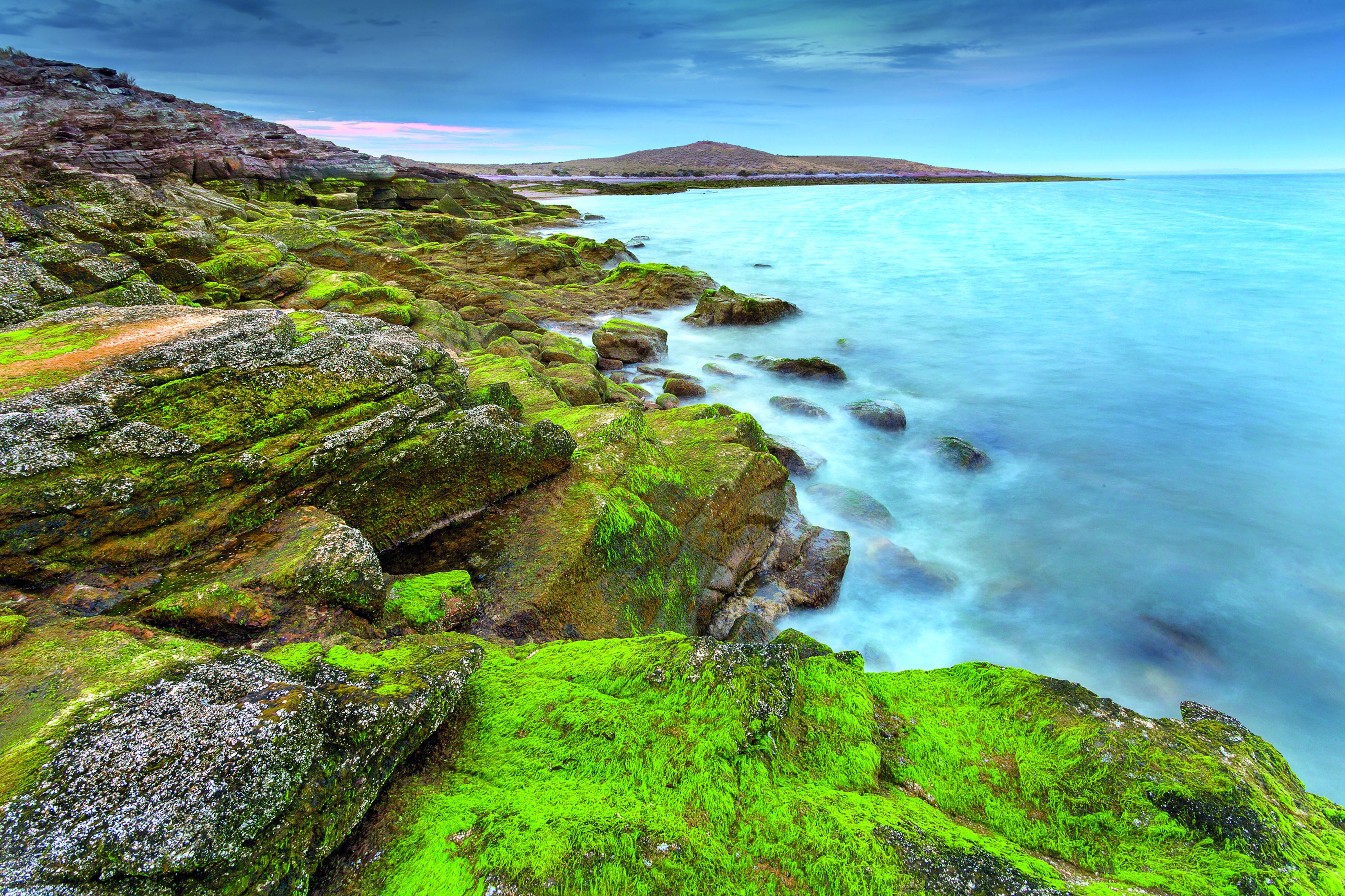 Las costas del mar Argentino exhiben una belleza natural increíble (Retratos Parques Nacionales)