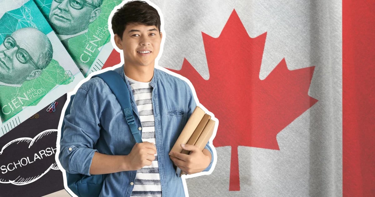 Announcing scholarships to study in Canada: Those interested must speak French to participate