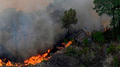 Vista de un incendio forestal, el 13 de abril de 2021, en el poblado de Tepoztlán, en el estado de Morelos, México (EFE)