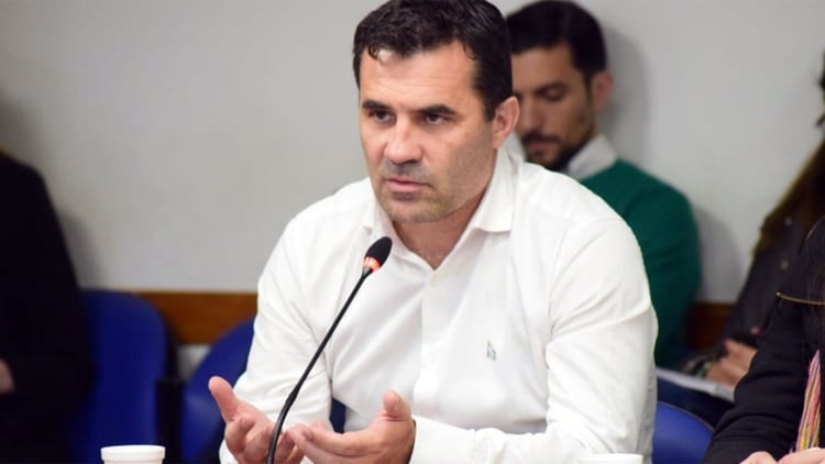 El diputado de Neuquén Darío Martínez era el encargado de la lectura del artículo 34 durante el debate en Diputados