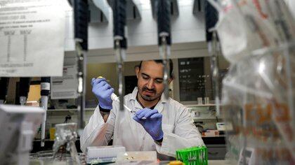 Foto de archivo: Un científico trabaja en un laboratorio en el norte de Israel, el 1 de marzo de 2020, en los esfuerzos para producir una vacuna contra el coronavirus COVID-19 adaptado de otro para el virus de la bronquitis infecciosa