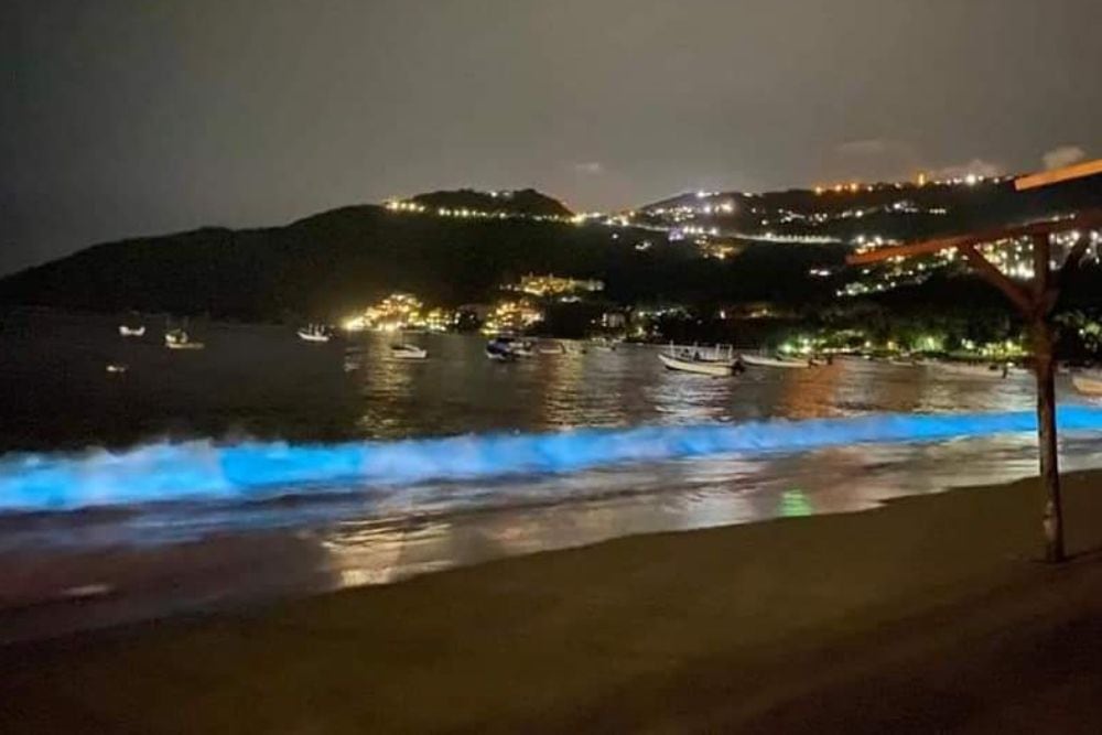 Acapulco bioluminiscencia (Foto: Twitter@EdberdMolina)