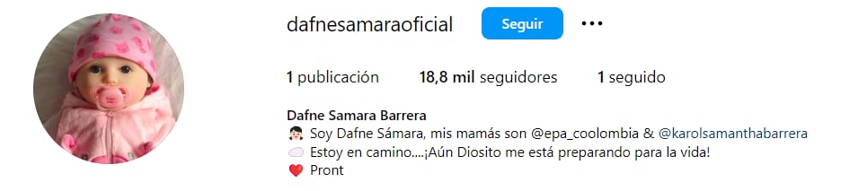 Este es el perfil de Dafnesamara que ya cuenta con más de 18 mil seguidores. / Imagen @dafnesamaraoficial