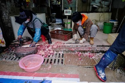 El mercado húmedo de Wuhan no es una rareza: hay ejemplos en muchas regiones del mundo (Reuters)
