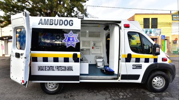 La âambudogâ ofrecerÃ¡ servicio a perros y gatos abandonados. (Foto: municipio de Soledad Graciano)