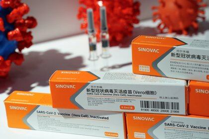 Sinovac es una de las empresas chinas que desarrolla una vacuna contra el coronavirus (REUTERS / Tingshu Wang)