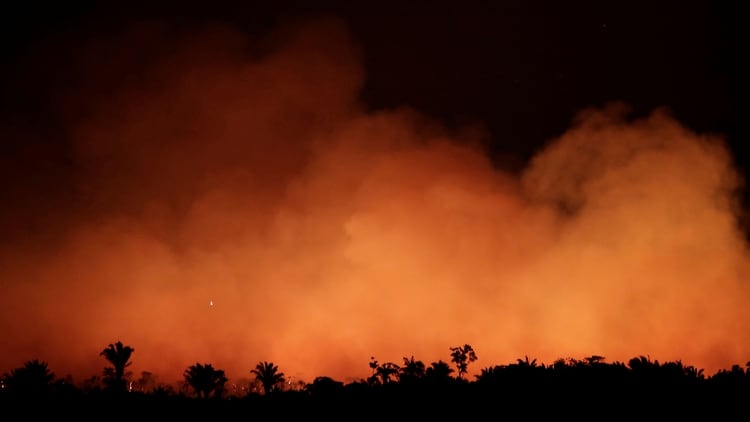 Miles de incendios se registraron en los últimos días en el Amazonas (Reuters)