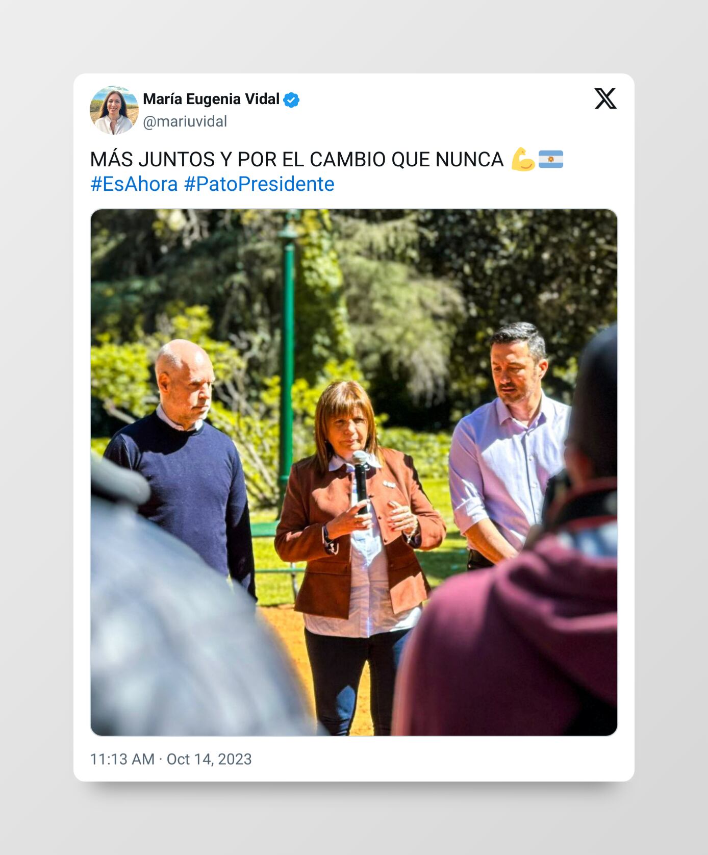 El posteo de Vidal. Foto: Twitter