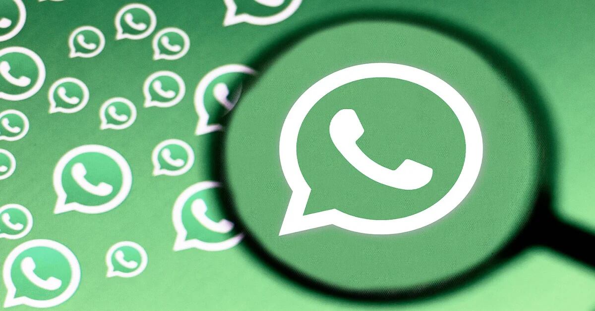 WhatsApp: las encuestas también llegarían a conversaciones individuales