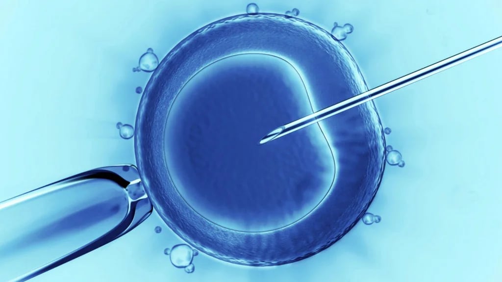 La nueva metodología representa una bisagra en la manipulación de embriones