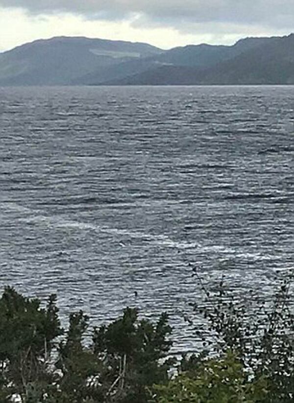 Allí solo puede verse un punto negro del monstruo del lago Ness. Sin embargo, al hacer una captura más próxima puede observarse más en detalle (Charlotte Robinson)