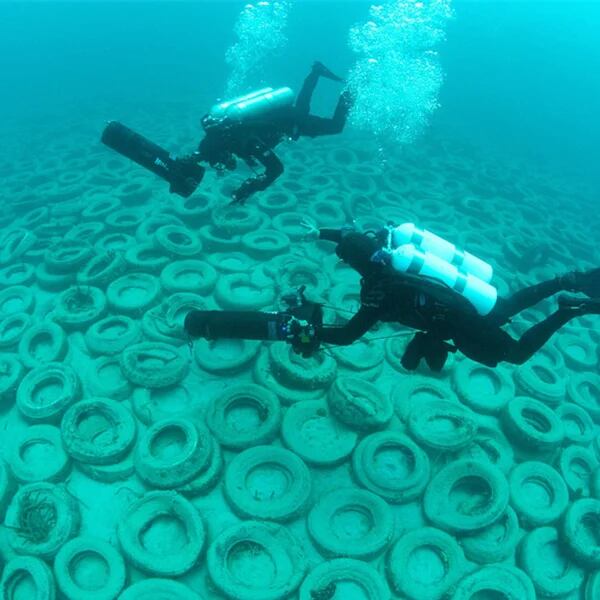 Îles en plastique et récifs coralliens en pneus : quels dégâts l’homme a-t-il causés aux océans ?