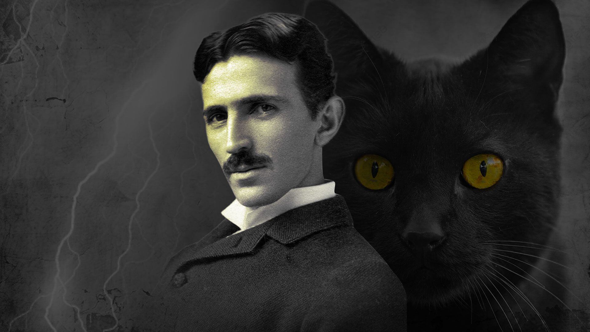 Nikola Tesla escribió en una carta dedicada a una niña pequeña sobre su primer acercamiento con la electricidad gracias a su gato Macak. (