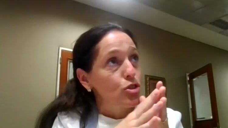 La doctora Wanda Cornistein, jefa de control de infecciones del Hospital Austral, durante el simposio conjunto virtual