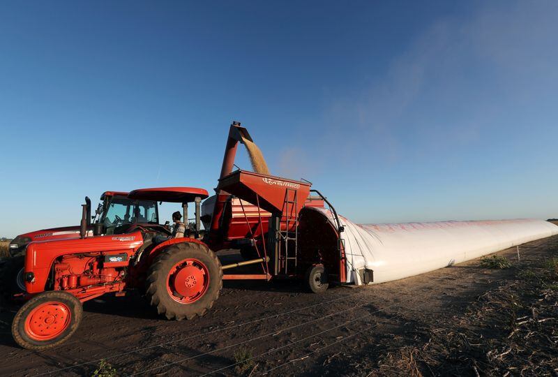 FOTO DE ARCHIVO. Un camión descarga granos de soja en un silo bolsa en una granja en Chivilcoy, en las afueras de Buenos Aires. REUTERS/Agustín Marcarián