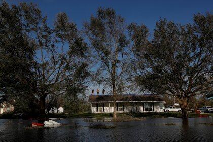 Un grupo de personas encima del techo de una casa en Lake Charles, Louisiana.   REUTERS/Shannon Stapleton