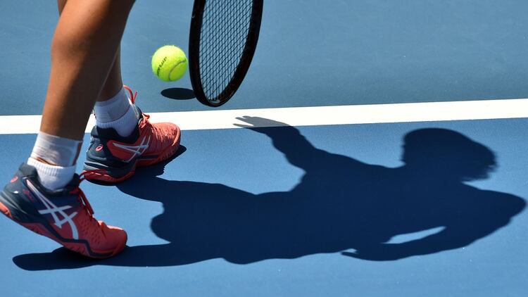 En los próximos meses se publicaría el informe completo (AFP)