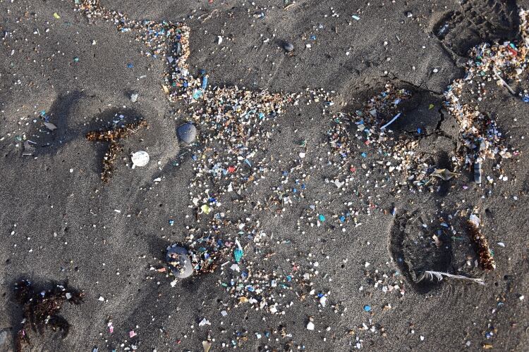 La mayoría de los plásticos son tan químicamente fuertes que ni los microbios en el suelo ni el agua pueden romper los enlaces elementales (Shutterstock)