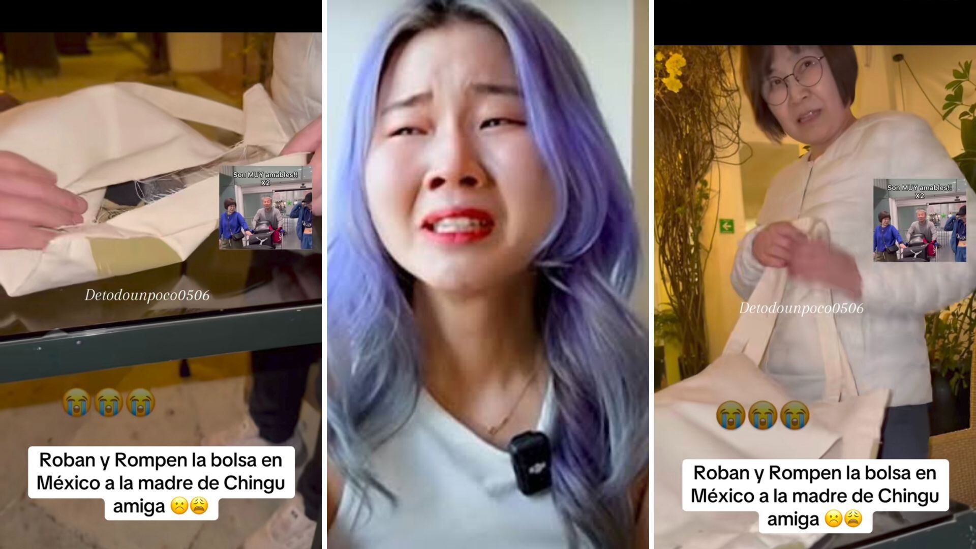 Chingu Amiga exhibe robo que su mamá sufrió en el AICM; llegó a visitarla  por las fiestas decembrinas | VIDEO - Infobae