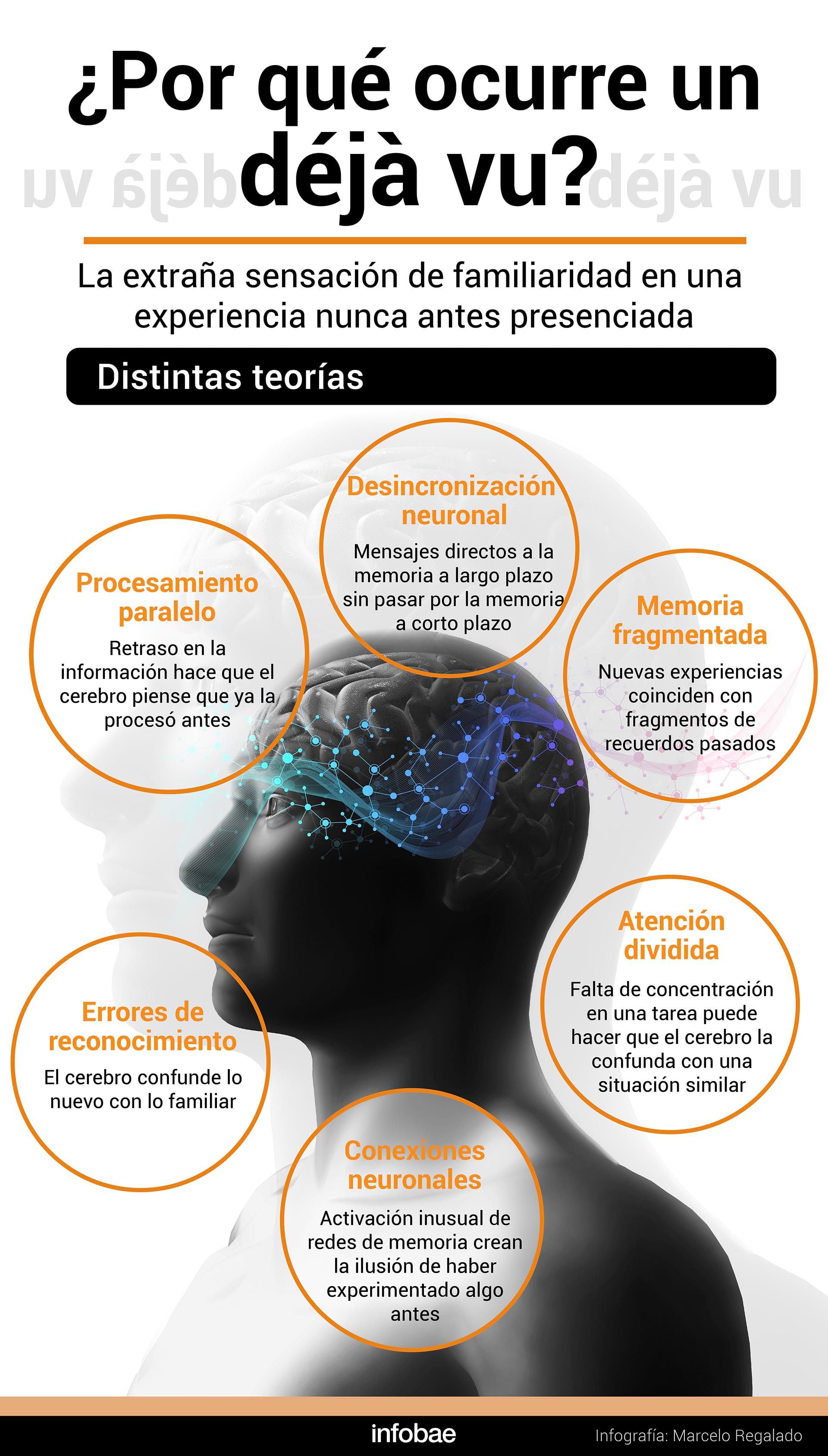 infografia