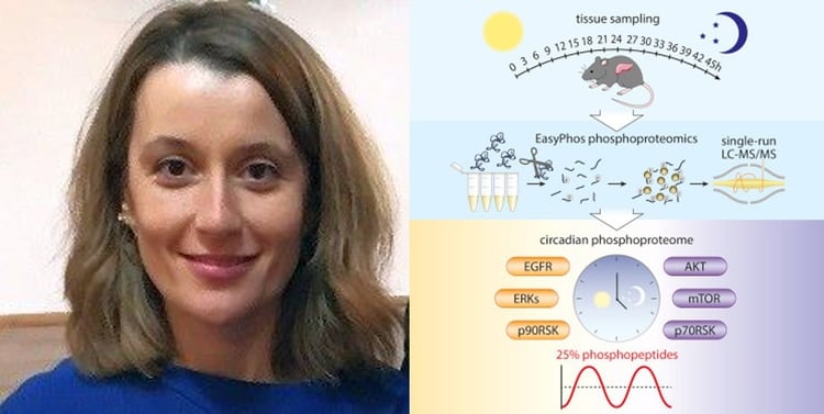 La doctora María Robles, directora del equipo de investigación (Twitter)