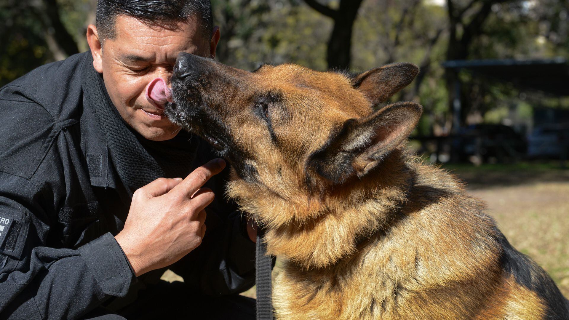 La clave del entrenamiento es la asociación aroma-juego: una vez que el perro encuentra el aroma, es recompensado con racionamiento de comida. Foto: Fernando Calzada.