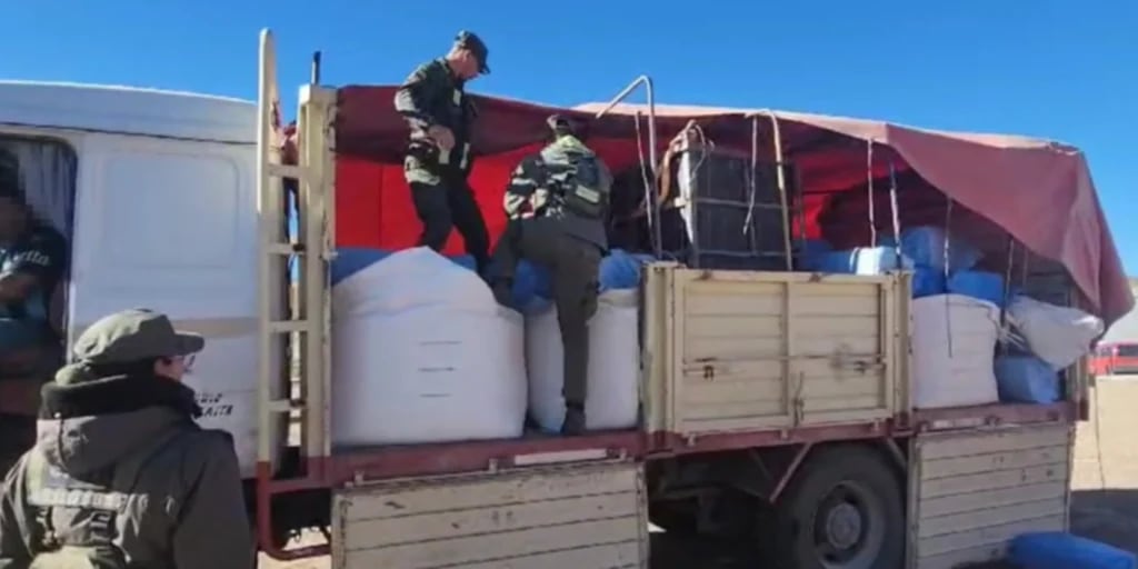 Gendarmería Nacional secuestró en Salta más de una tonelada de hojas de coca ocultas en un camión