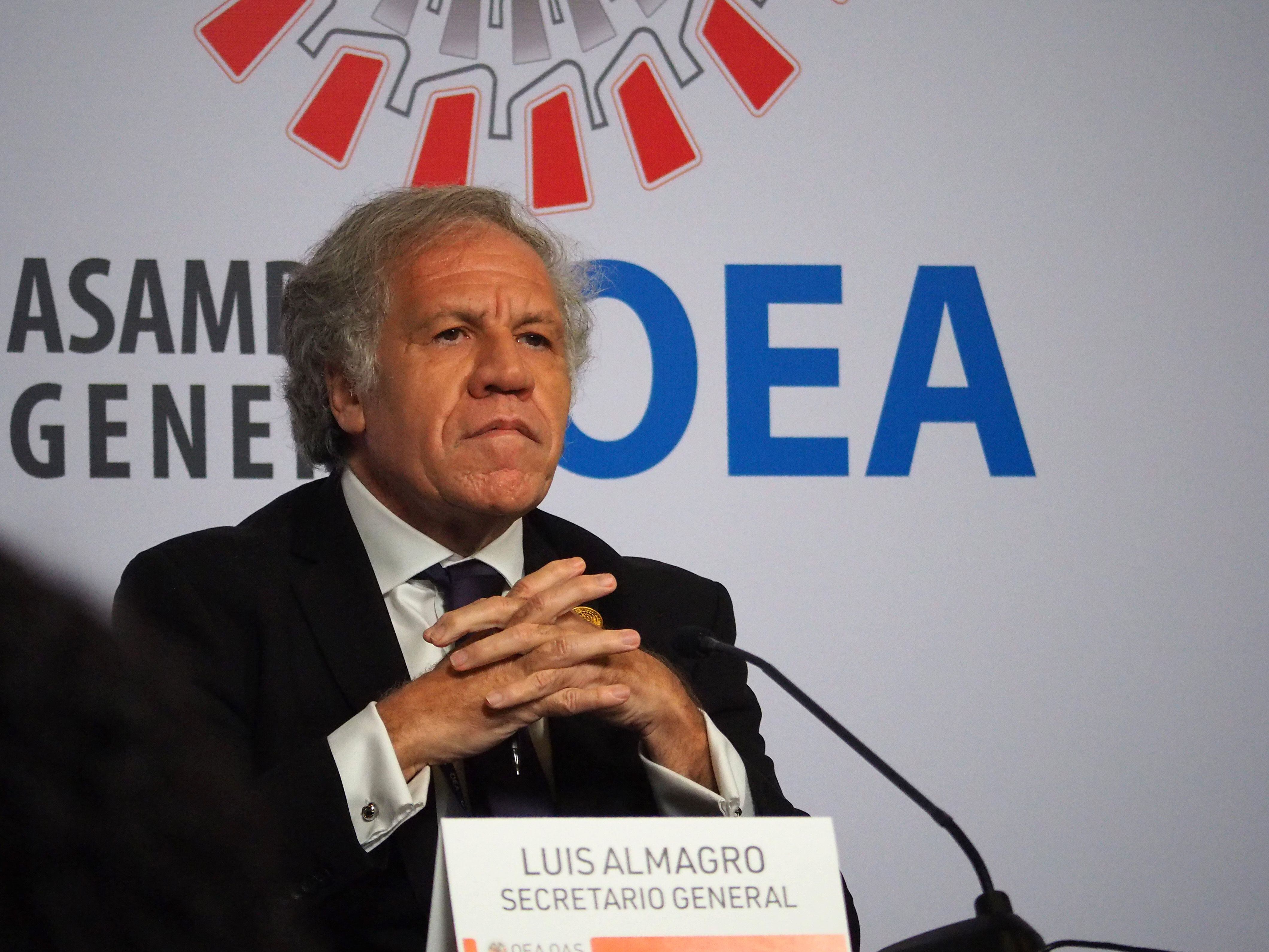 Luis Almagro (Europa Press)