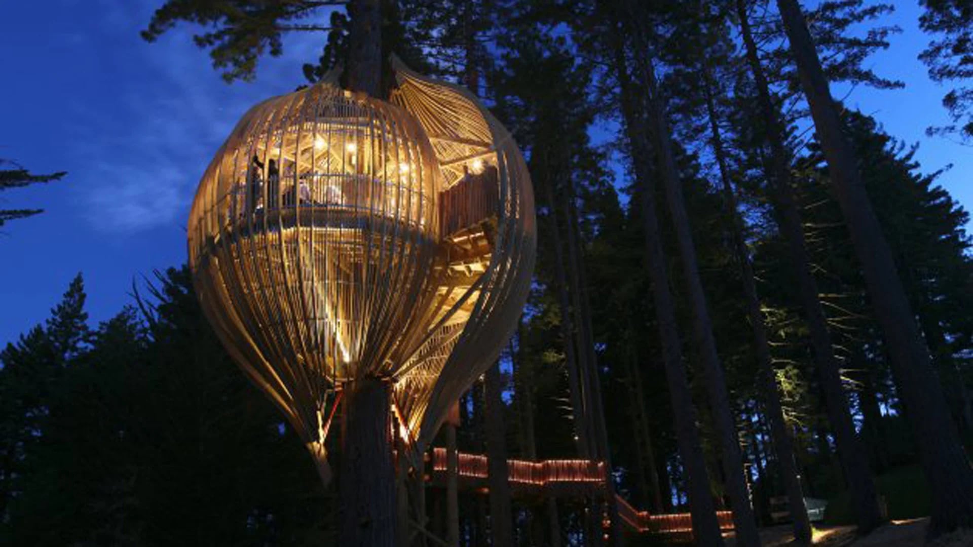 Ubicada en un bosque y sostenida a 30 metros del suelo, solo tiene lugar para 18 invitados ( Página oficial)