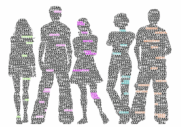 Utilizando técnicas de secuenciación de última generación y herramientas de biología computacional avanzadas, este trabajo proporciona un mapa detallado del funcionamiento del genoma de la leucemia