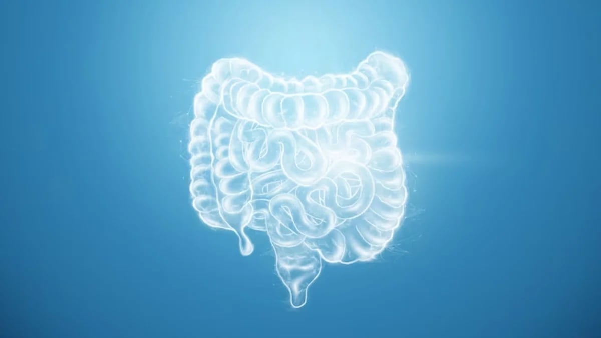 Los 7 mitos más comunes sobre el cáncer de colon que aumentan el riesgo de la enfermedad