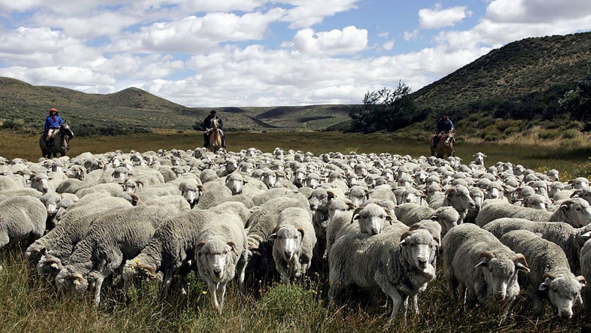 El sector ovino sigue inmerso en una importante crisis