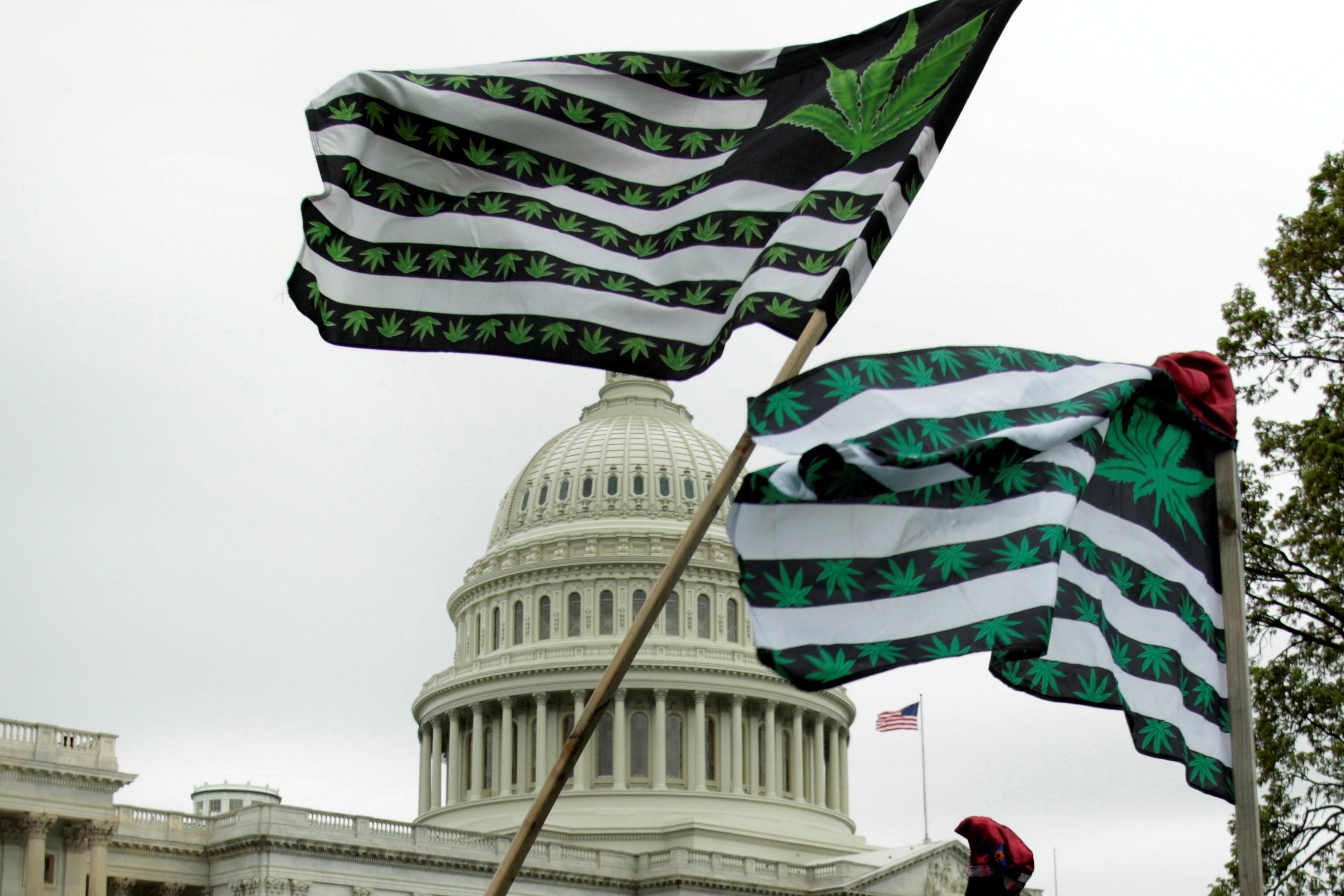 El 68% de los adultos estadounidenses está a favor del consumo recreativo de marihuana. (REUTERS/Yuri Gripas/File Photo)