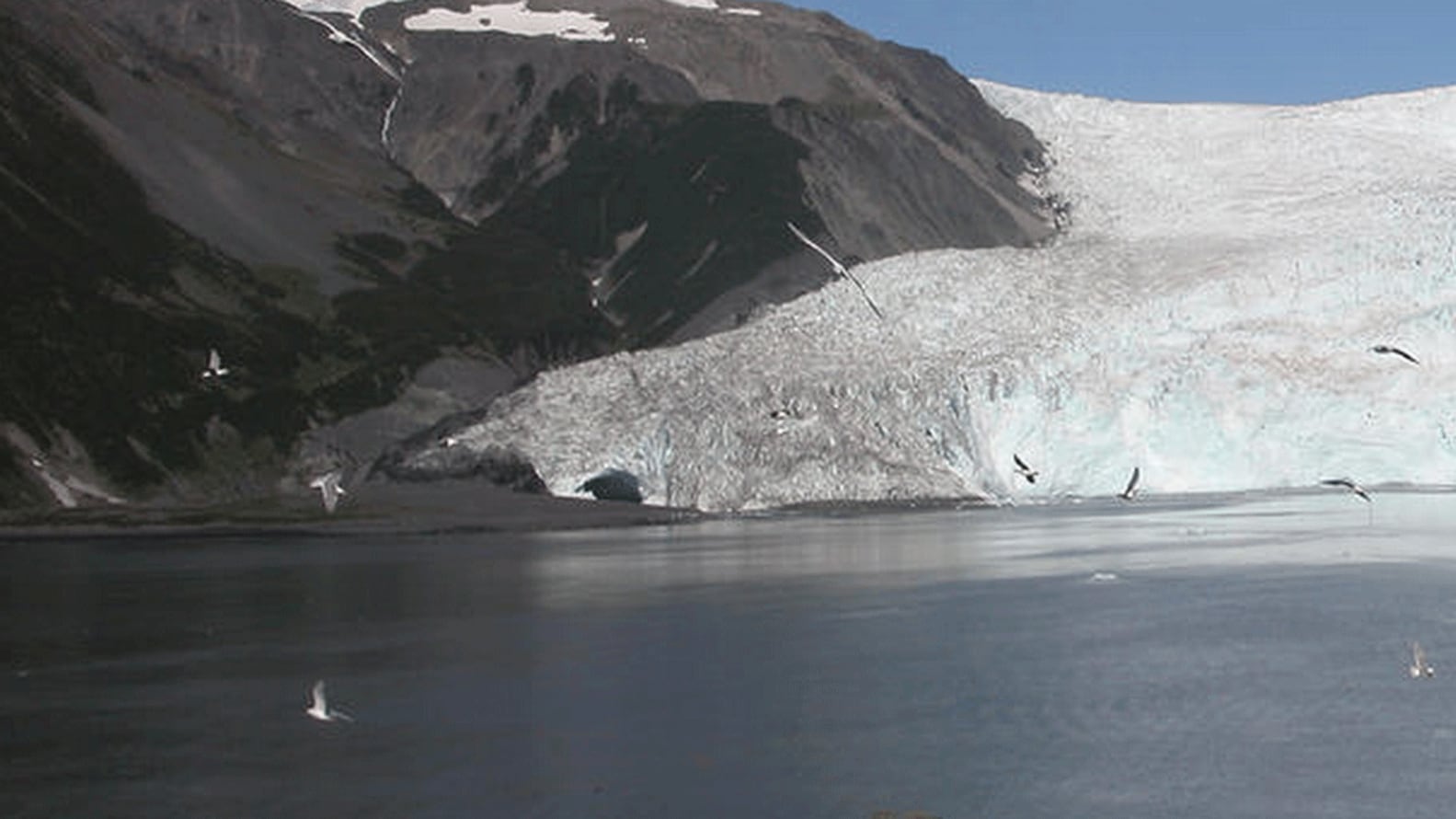 <div><p>La segunda fotografía data del 12 de agosto de 2005. En los 96 años transcurridos el terminal del Glaciar Aialik permanece cerca de su posición de 1909, retrocediendo un máximo de 300 metros y con un adelgazamiento de entre 20 y 50 metros</p></div Bruce F. Molnia / USGS 163