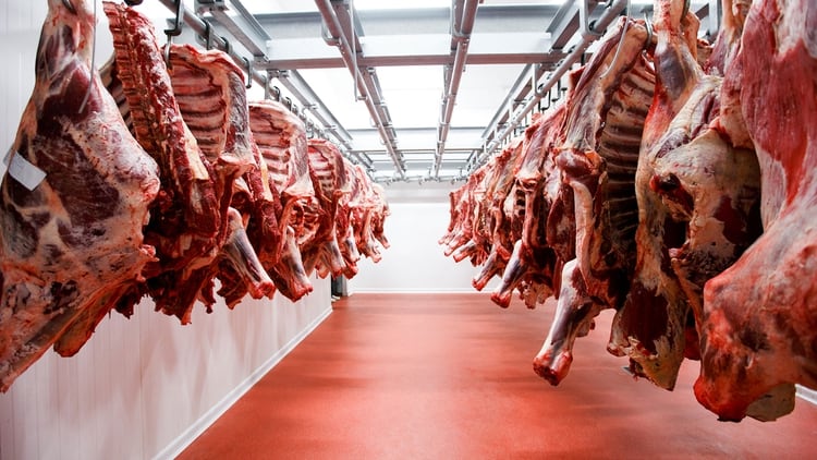 Exportación de carne (Shutterstock)