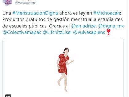 Michoacán es el primer estado de la República Mexicana en aprobar una iniciativa sobre la menstruación digna de mujeres y adolescentes (Foto: captura de pantalla Twitter @vulvasapiens)