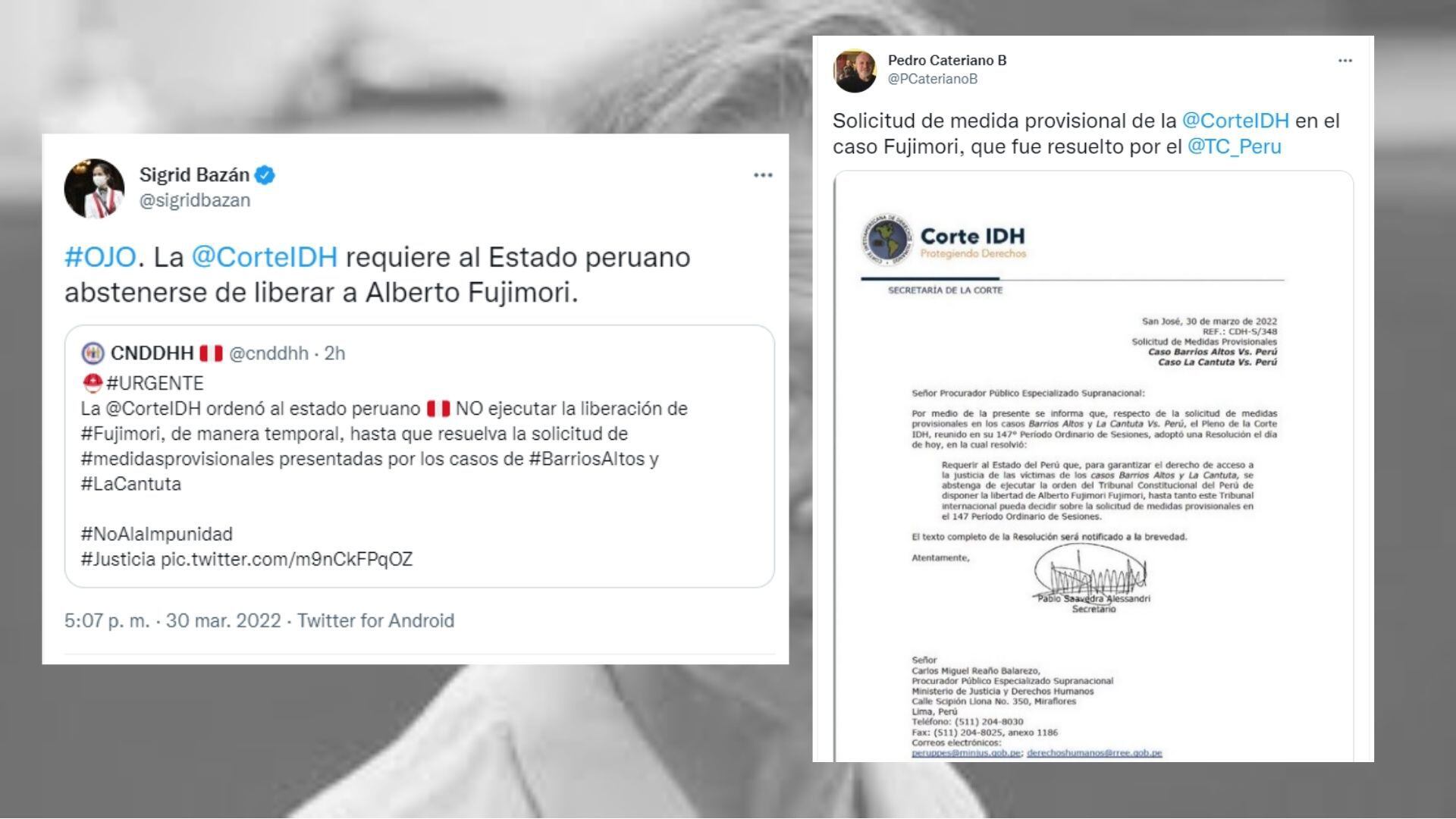 阿尔贝托·藤森的释放被美洲人权委员会逮捕。