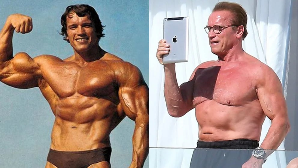 El lamento de Arnold Schwarzenegger sobre su cuerpo: Cuando me miro en el  espejo, vomito - Infobae