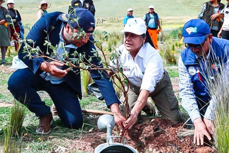 La ministra Albina Ruiz con dos alcaldes distritales plantando un árbol en un área verde de Lima - Perú - Crédito: Agencia Andina.