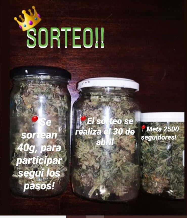 Sorteo de frascos de marihuana que se llegó a hacer en Instagram durante la cuarentena.