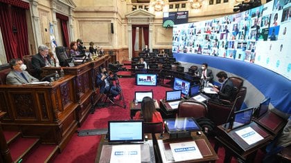 El Senado aprobó la Ley de Economía del Conocimiento en una sesión especial remota a comienzos de octubre (Charly Diaz Azcue / Comunicación Senado) 